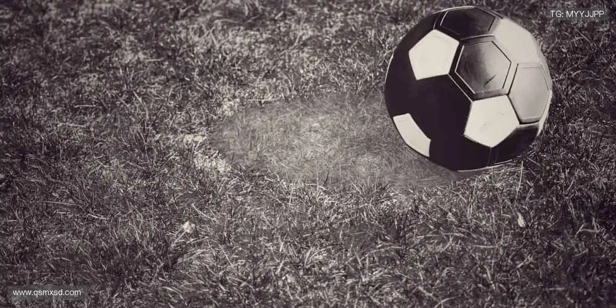 📺高清直播，每一个进球都让你身临其境！🏀